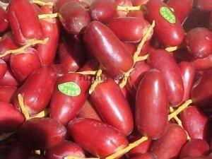 Global B2B directory Global trade lead